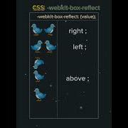 Learn Css Webkit Box Reflect Css Webkit Box Reflect