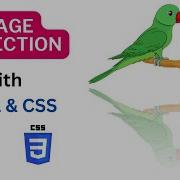 Image Reflection Effect Using Html And Css