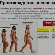 Происхождение человека факты и вымысел Станислав Дробышевский