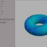 Torus Paths