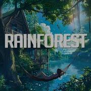 Rainforest Chillstep Mix 2024 2 Hours