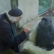 Man Talking To Monkey