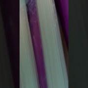 Toothbrush Viewed With A Microscope Shorts