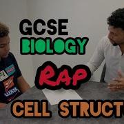 Science Raps GCSE Biology Cell Structure