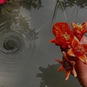 Amazing Water Vortex Experiment Whirlpool Hole Vs Pomegranate Flowers
