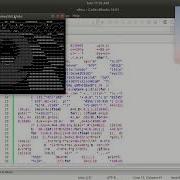 Obfuscated C Code