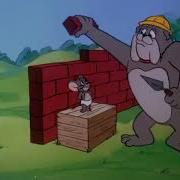 The Tom And Jerry Comedy 1980 Episode 11 Incredible Shrinking Cat Scared Bear When The Rooster Crows