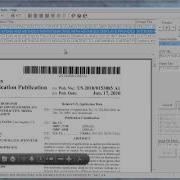 SimpleIndex Patent Data Extraction