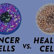 How Do Cancer Cells Behave Differently From Healthy Ones George Zaidan