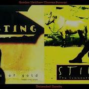 Sting Fields Of Gold Extended Remix From The Album Ten Summoner S Tales 1993