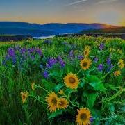 Freefall Feat Jan Johnston Skydive I Feel Wonderful Original Radio Edit