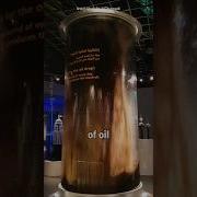 How Oil Is Formed