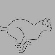 Cat Run Cycle Test