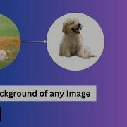Remove Background From Any Image Using Python In 3 Lines Python For Beginners