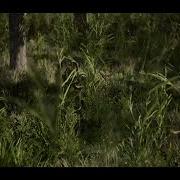Vegetation SpeedTree Unreal Engine 5 Test