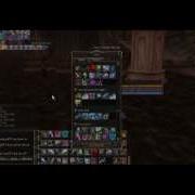 L2 Amerika Char Com Os Skill Bug