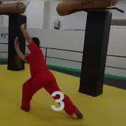 Daoshu Basic 1 2 3 4 5 6 7