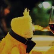 LRCC PRODUCTIONS One Day In The Life Of Flat Eric In Madeira
