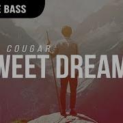 Hex Cougar Sweet Dreams