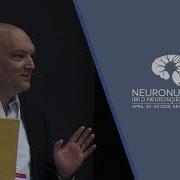 Neuronal Mechanisms Of Performance Monitoring And Adaptive Control Markus Ullsperger