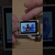 Давайте рассмотрим недорогие и простые в использовании TFT экраны Raspberrypi Arduino