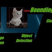 Image Classification Vs Object Detection In Machine Learning