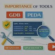 Video GDB And PEDA Tools