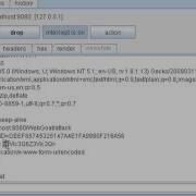 HTTP Basic Authentication Bypass