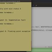 07 02 Linux Process Termination And Exit Status