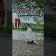 Duck Walking