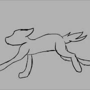 Wolf Run Animation Test