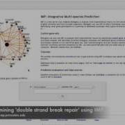 IMP Process View Tutorial
