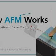 SSRM How AFM Works Principle Of Atomic Force Microscopy