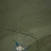 USS Bakula Just The Fin Flutter