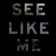 Visualizing Visual Impairments
