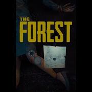 How 2 Get The Map And Compass In The Forest Easily