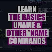 Essential Linux Commands Uname Hostname Basename Dirname Logname