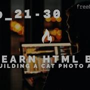 Learn HTML By Building A Cat Photo App Solutions Step 21 30 FreeCodeCamp