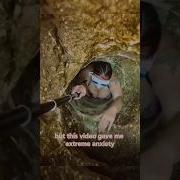Absolutely Not Crazy Viral Scary Caving Underwater Diving Snorkling Anxiety Reels Fyp