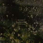 Heat Waves Ambient Cover