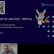 MuleSoft For Java Developers Extending The Mule Runtime