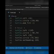 Programmers Rose Day How Hacker Propose A Girl Valentine S Day Of A Hacker Python