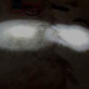 P1010157 Avi