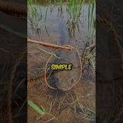 Unique Fishing Skills