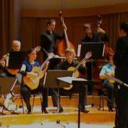 ORINOCO FLOW Enya Orkester Mandolina Ljubljana Dirigent Andrej Zupan