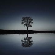 Seclusion The Tides 1 Hour Of Relaxing Music