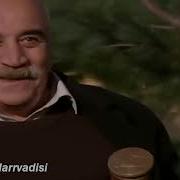 Halodayı Official Beyler Nedt Müzik Kurtlar Vadisi Tr