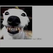 Selete Option And Show Image JavaScript Document GetElementById Shorts Short Js Html