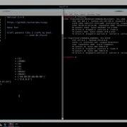 Ethical Hacking 30 Crafting Malicious ARP Packet