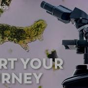 How To Kick Off Your Microscopic Journey